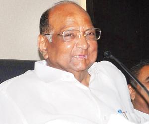 Raj Thackeray-Sharad Pawar's 40-minute meeting sets tongues wagging