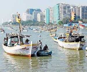 State promises compensation to fishermen who set trapped turtles, dolphins free