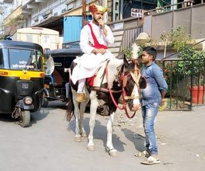 Mumbai: Corporation sends employees on horseback to ask people to pay taxes