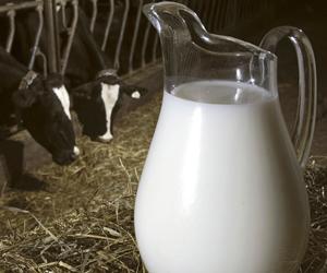 Drinking 'grassmilk' may boost heart health