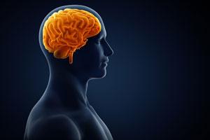 Learning physics may activate new brain areas