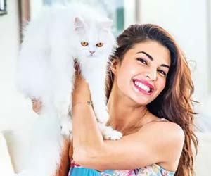 Jacqueline Fernandez shares a Whatsapp Chat with her cat, here's what wish Miu M