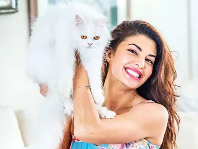 Jacqueline Fernandez