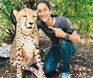 Mumbai's Jemimah Rodrigues' off the pitch photos with wild cats in South Africa