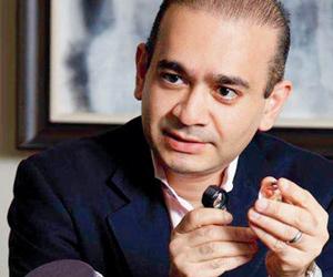 ED begins process to get Nirav Modi from Hong Kong, uncle Mehul Choksi from US