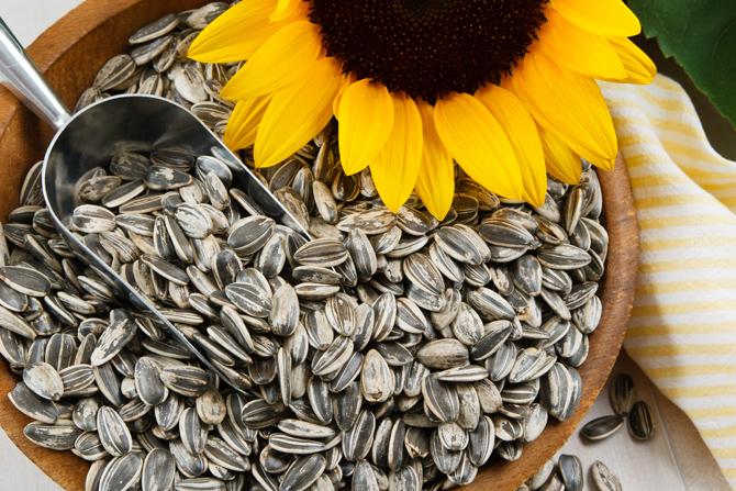 Health: 5 seeds you should eat every day for better nutrition