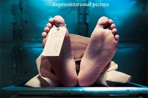 Mumbai: Ashoka tree branch falls, kills 92-year-old in Walkeshwar