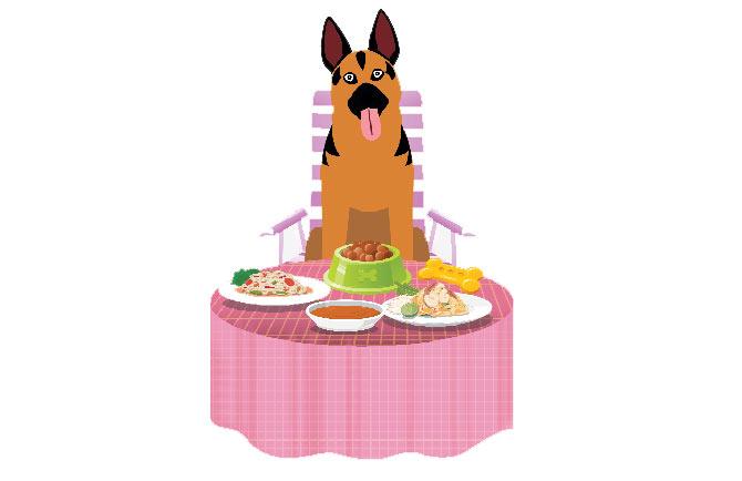 Dog
