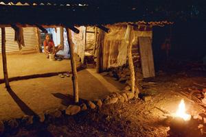Batti Gul: Darker times ahead for tribals in SGNP