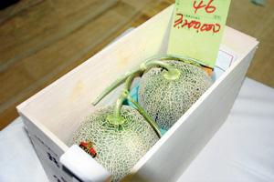 Pair of Japanese melons sell for record Rs 19.8 lakh