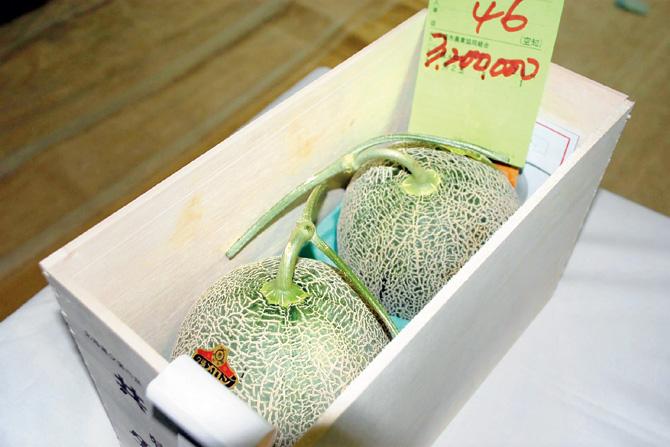The pair of Yubari melons that fetched a record price. Pic/AFP