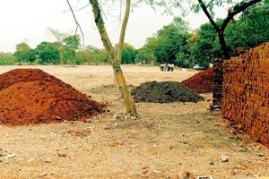 NMMC hacks down 100 trees to develop 'tree belt'!