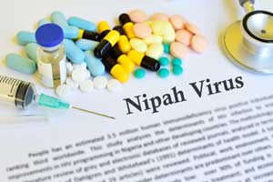 Keralite native suspected of Nipah quarantined in Goa hospital