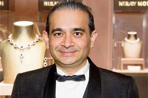 PNB fraud: Nirav Modi's ex-director moves HC for quashing LOC