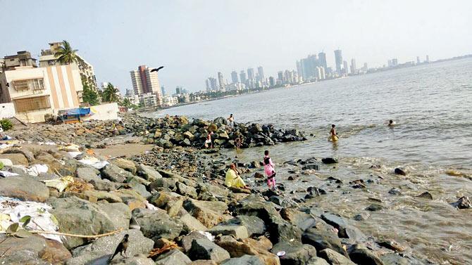 The stones continue to be an obstacle to the beach clean-up, and inconvenience walkers