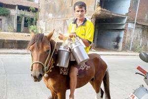 Mumbai Milkman adopts unique way to ferry his wares after petrol price hike