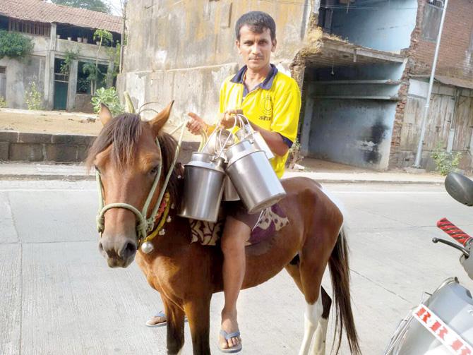 Pandurang Vishe now travels on horseback to deliver milk