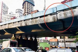 Mumbai: Crack in Kemps Corner bridge sparks collapse rumour