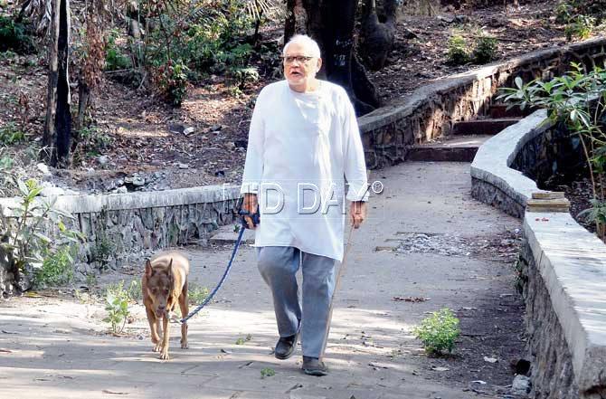 Shrikant Karani takes an early morning walk on the Siri Road steps with his dog Mischief. Pics/Sayed Sameer Abedi