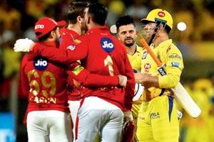 T20 2018: MS Dhoni is a champion, says Punjab coach Brad Hodge