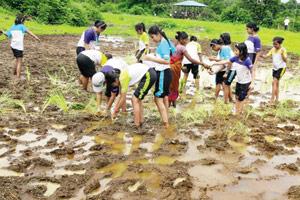 This 4 day summer camp introduces kids to sustainability through fun activities