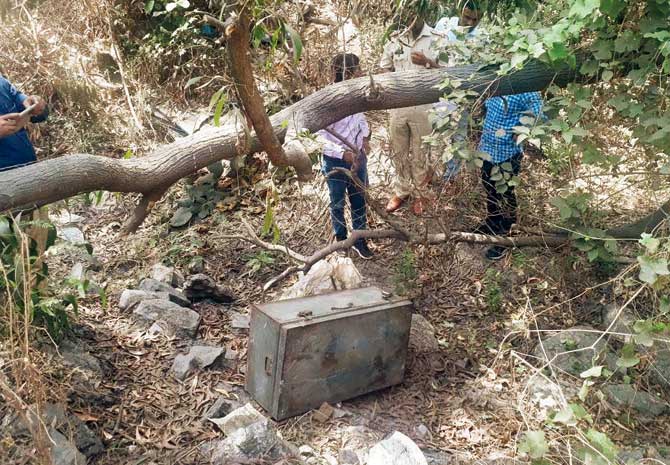 A resident spotted the trunk near Vashi creek and informed the police