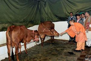 Yogi Adityanath announces dates for 'Shahi Snan'