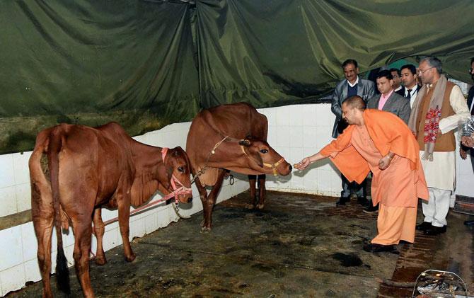 Yogi Adityanath announces dates for 