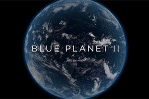 Blue Planet II Movie Review