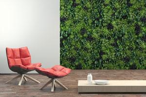 Play with colours, greenery on walls for cool environs at home
