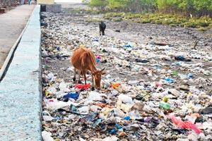 Mumbai: Ward officers to tour cities for waste handling lessons