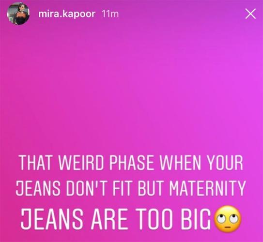 Mira Rajput Instagram story