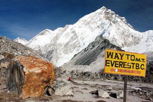 Maharashtra to give Rs 25 lakh each to students who scaled Everest