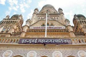 Mumbai: BMC finalises 9,000 hawking pitches in two zones in city