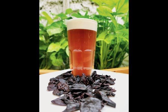 Kokum Cider