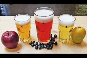 Drinking festival collaborates with breweries from Pune and Mumbai