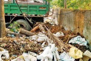 Resident catches trucks dumping garbage in Santacruz locality