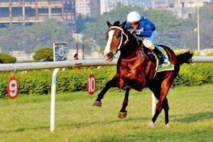 Horse Racing: Intense Stylist for Maharaja Of Morvi cup