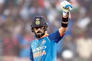 Virat Kohli calls for relocation of Jaipur elephant
