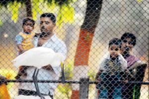 Mumbai: With SC order, BMC can now expand Byculla zoo