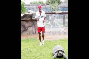Manchester United star Paul Pogba races a turtle. Here's why?