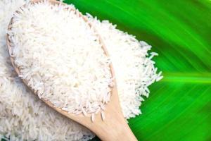 Madras High Court: Free rice to all makes people lazy