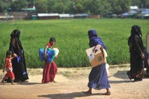 Rohingyas' return to Myanmar only at their 'freely expressed wish'