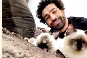 Mohammed Salah voices concern over stray cats and dogs being exported