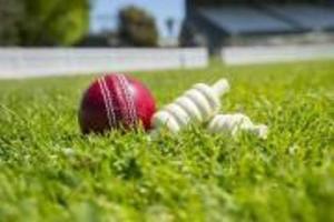Earl Eddings tapped to lead crisis-ridden Australian cricket