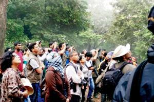 Mumbai: Time for bird-watching at Sanjay Gandhi National Park