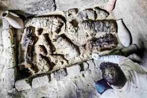 Dozens of cat mummies found in newly discovered tombs
