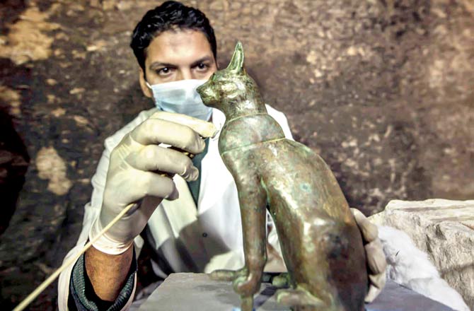 Cat mummies and statues