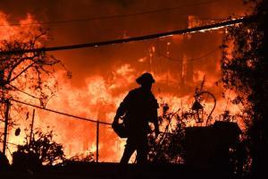 228 still missing in California wildfire