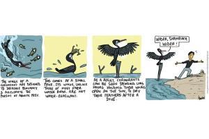 Green Humour: Comic Strip By Rohan Chakravarty